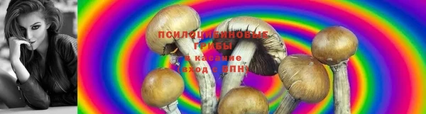 MDMA Гусиноозёрск